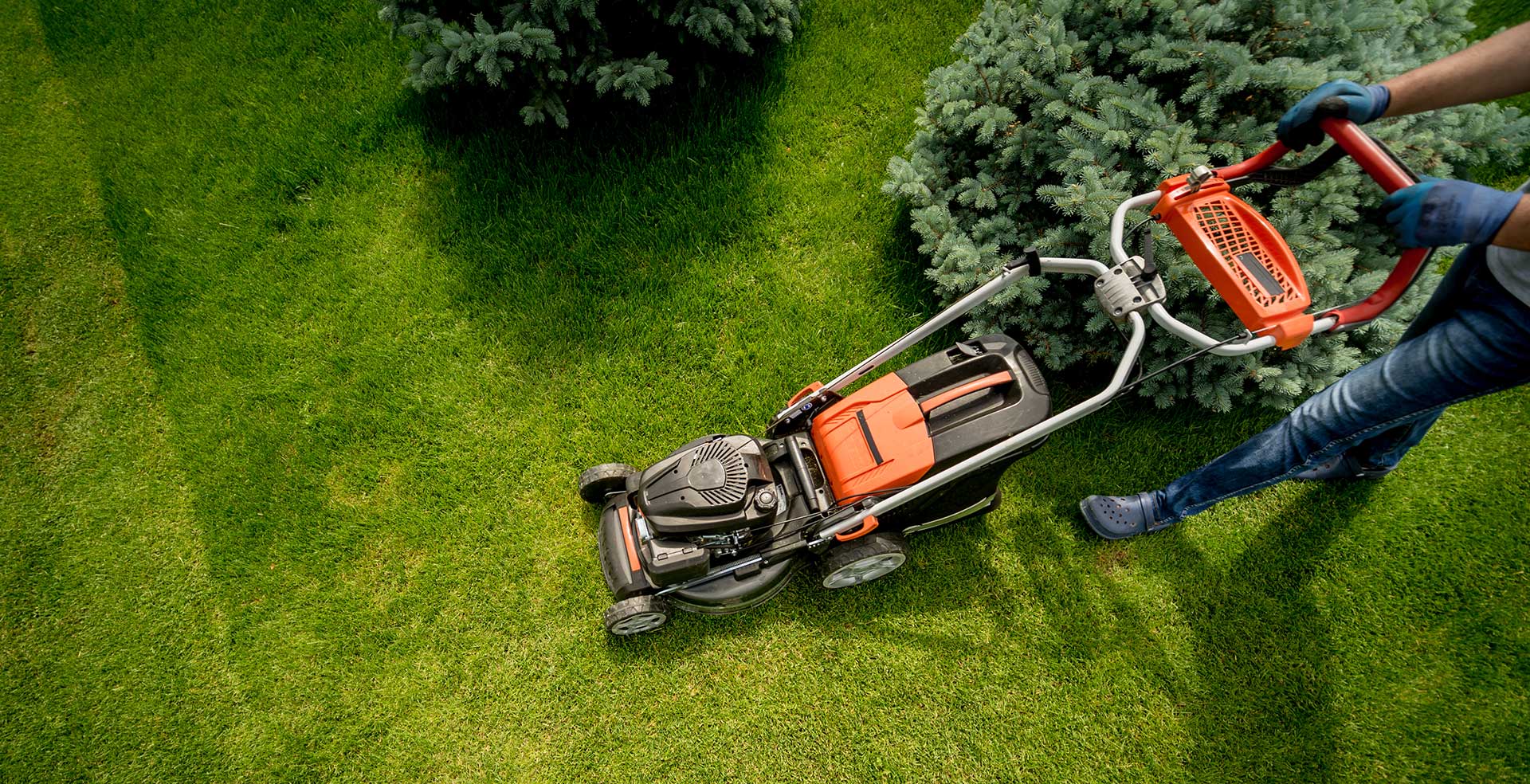 Best Gardening and Lawn Care Services in Muscat