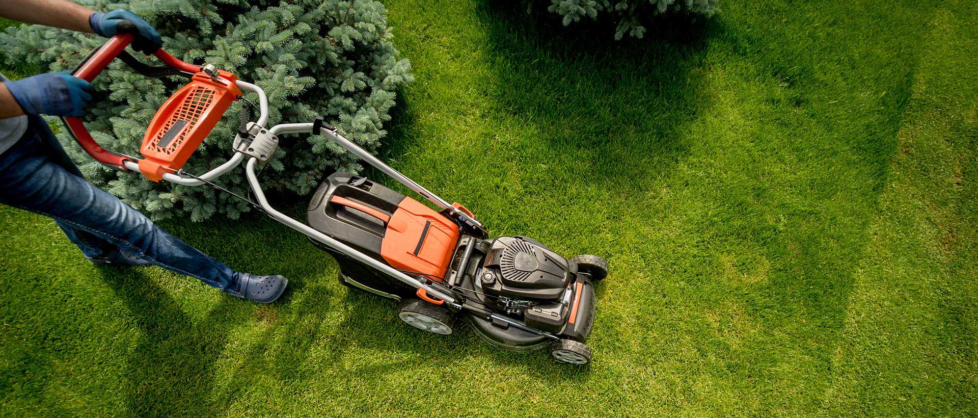 Best Gardening and Lawn Care Services in Muscat